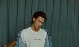 圈内小料爆料王鹤棣视频,背后故事引热议